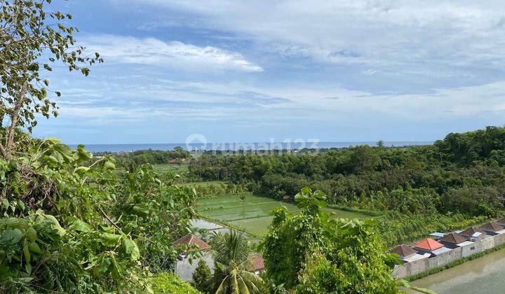 Land Ocean View Tanah 39 Are Dencarik Banjar Buleleng Bali 1