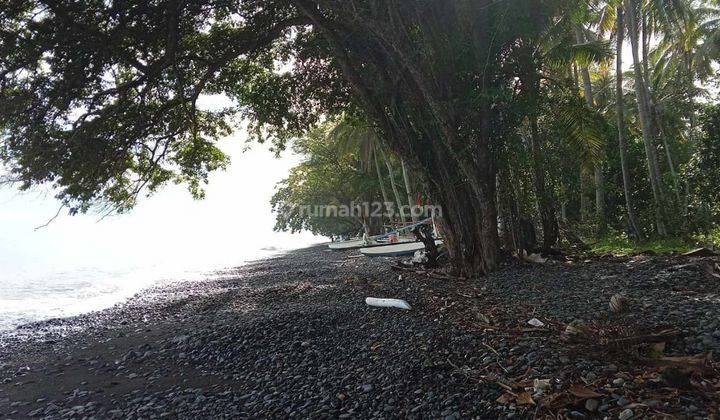 Beachfront Land 20 Are Edge of Tejakula Beach Buleleng Bali 1