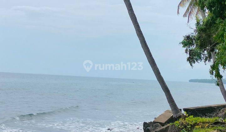 Beachfront Land 30 are Beachfront land Tejakula Buleleng Bali  2