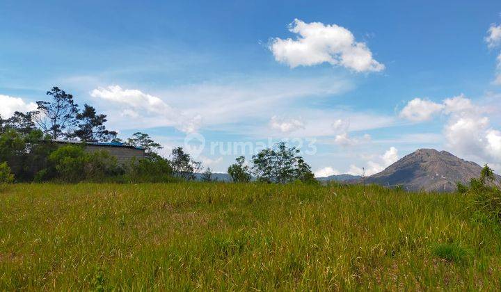 Premium Land 10 Are Main Road View Super Gunung Batur Kintamani Bali 2