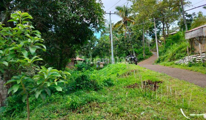 Murah 15 juta per are Tanah Pinggir Jalan Desa Depeha Kubutambahan 2