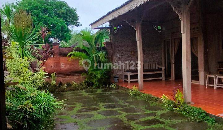 Villa Joglo 3 Km With Pool di Central Lovina Buleleng Bali  2