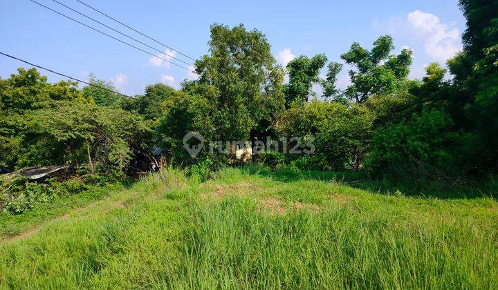 Tanah Datar 1.2ha Car Road Access Kubucepat Buleleng Bali  2