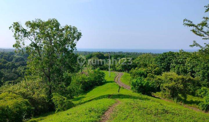 Tanah Datar 1.2ha Car Road Access Kubucepat Buleleng Bali  1