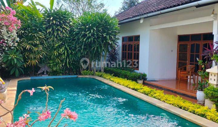 Villa 500m² 3 Bungalows With Swimming Pool Lovina Buleleng Bali  1