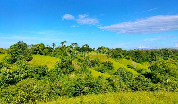 Hidden Paradise! 1.2Ha Ocean View. Kubu addeda Buleleng Bali  2