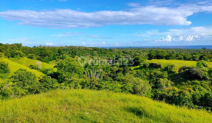 Hidden Paradise! 1.2Ha Ocean View. Kubu addeda Buleleng Bali  1