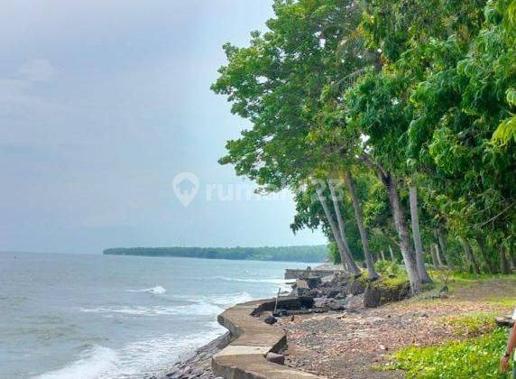 Beachfront Land 1000m² CHEAP Tejakula Buleleng Bali  1