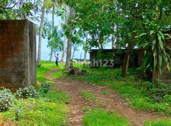 Beachfront Land 1000m² CHEAP Tejakula Buleleng Bali  2