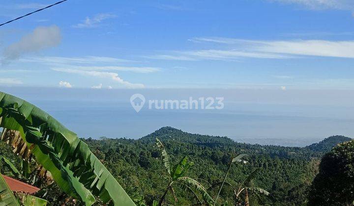 Wanagiri 39 are view laut di Wanagiri Buleleng Bali  1