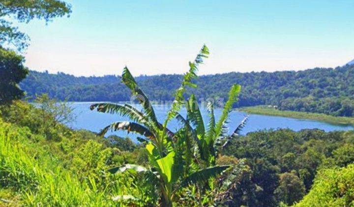 Premium Land Munduk 1,5ha Lake Hills Ocean View Buleleng Bali 2