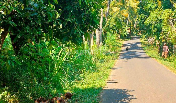 40 are of garden land on the outskirts of Buleleng Kubutamban Flat Asphalt Road  1