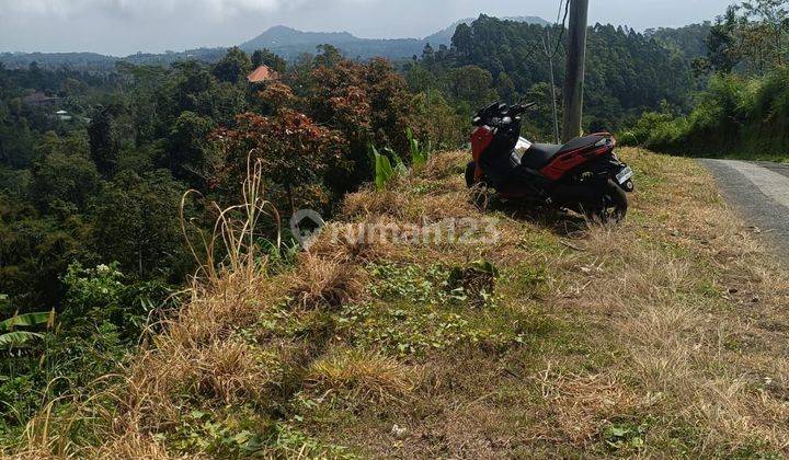 62 Are Ocean View Terasering Pinggir Jalan Di Wanagiri Buleleng  2