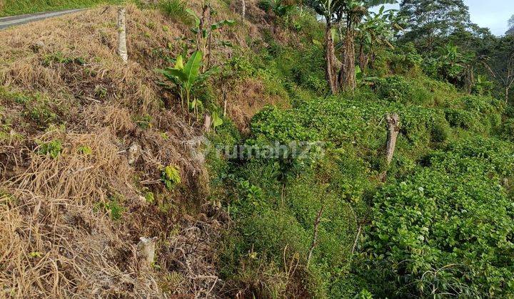 62 Are Ocean View Terasering Pinggir Jalan Di Wanagiri Buleleng  2