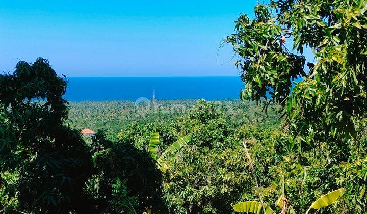 2800m² View Laut Pinggir Jalan Terasering Tejakula Buleleng Bali 1