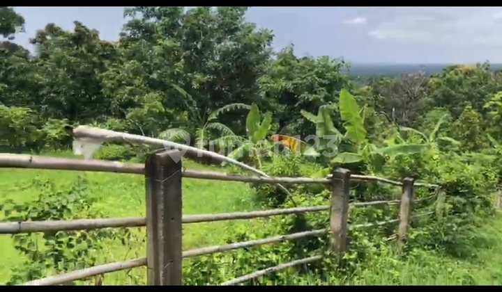 5 Are Tanah View Laut Pinggir Aspal Hotmix Lovina Buleleng Bali