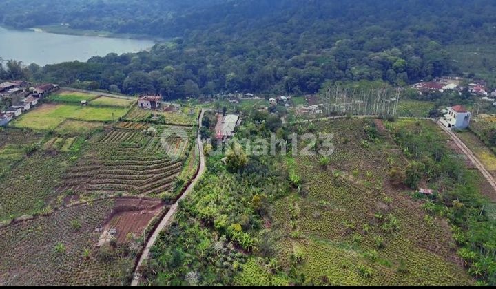 50 Are Freehold Certificate Hanya 50 Meter Dari Jln Munduk Wanagiri