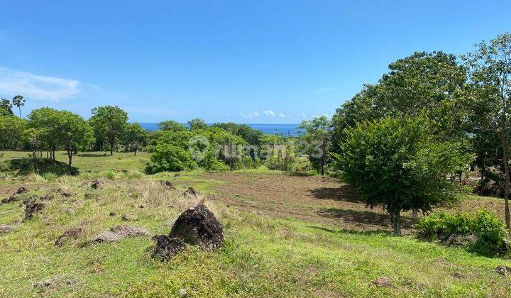 1,5 Ha Land Ocean View Ready To Build Datah Karangasem Bali 1