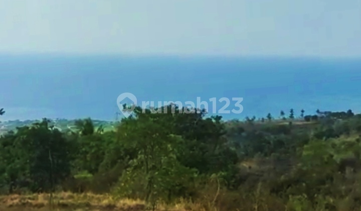 1.37 Hectares of Land with Sea View SHM Cempaga Banjar Buleleng Bali