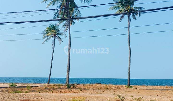 Pink Zone Beachfront Land 1200m2 SHM Main Road Kubutambahan Buleleng 1