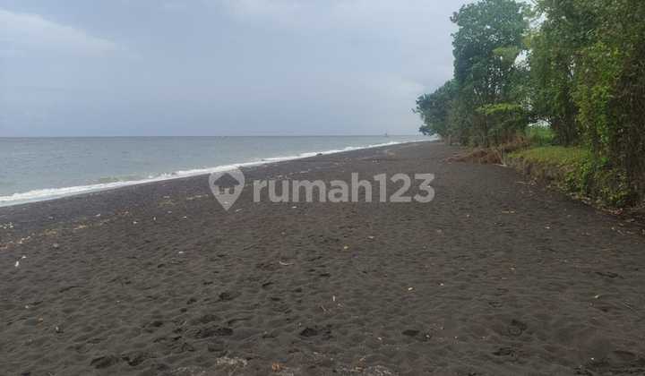 Cheap! 67 Are Beachfront Near the Future New Airport Kubutambahan Buleleng Bali