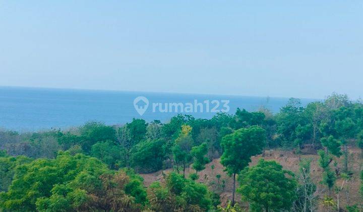 Very Super Ocean View! 8000m² Stunning Cheap! Kubutambahan Bali 1