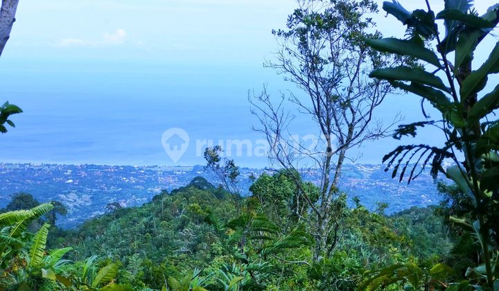 Full Ocean View By the Roadside 54 Are Sukasada Strait Buleleng Bali