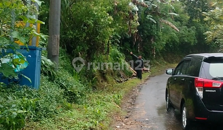 5 Hectares of Land by Asphalt Road for Investment in Lemukih, Buleleng, Bali. 5 Hectares of Land by Asphalt Road for Investment in Lemukih, Buleleng, Bali.