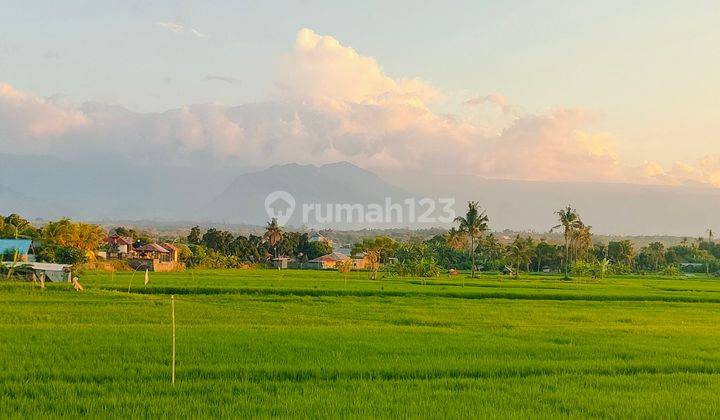 8800m² Beachfront Land Hills View Bungkulan Buleleng Bali 2