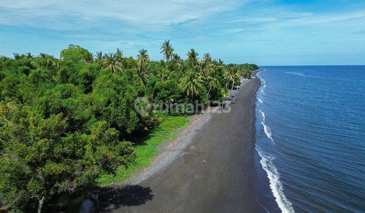 Sisa 5 Kapling Tanah Dekat Pantai Di Kubutambahan Buleleng Bali 2