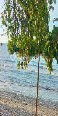 1600² Freehold Land Coastal Side Provincial Road Buleleng Bali 1600² Freehold Land Coastal Side Provincial Road Buleleng Bali