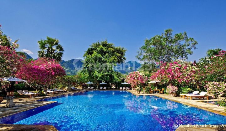 For Sale! Beautiful Beachfront Resort 5* Pemuteran Buleleng Bali 