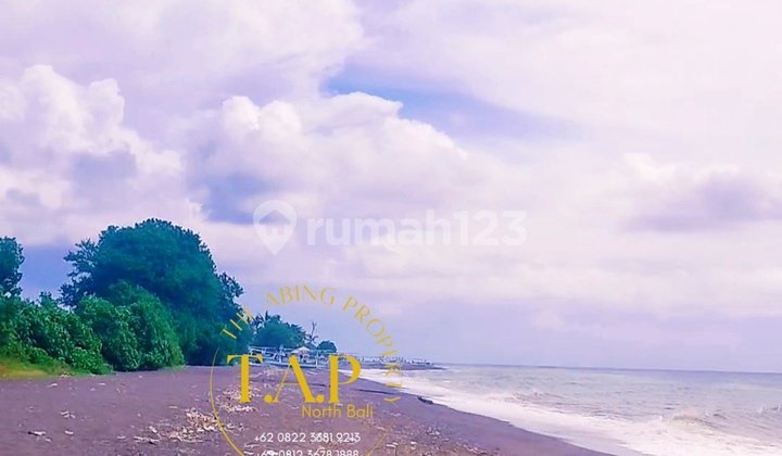 Cheap! 65.5 acres Beachfront by Sawan Beach, Buleleng Bali