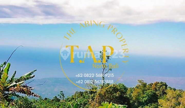 240m² Roadside Asphalt Super Ocean View Gobleg Buleleng Bali