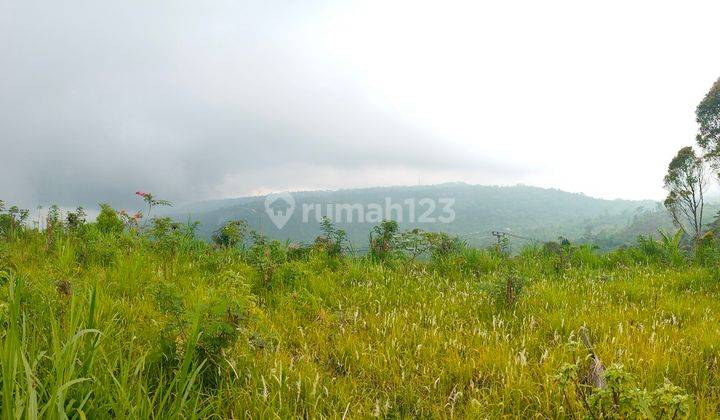 1000m² Ocean View And See The Elevate Too! Munduk Buleleng Bali 2