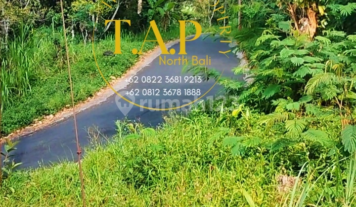 54 Are Ocean View Pinggir Aspal Hotmix Selat Lovina Buleleng Bali