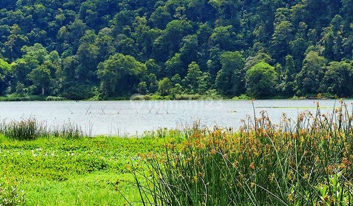 Bedugul Pinggir Danau Buyan 14 Are Siap Bangun Buleleng Bali  1