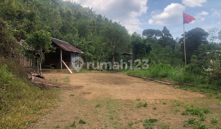 15 Million Per Are Cheap! 3.5 Hectares Fertile for Plantation, Has 2 Springs, Near the Planned New North Bali Airport, Buleleng, Bali. 15 Million Per Are Cheap! 3.5 Hectares Fertile for Plantation, Has 2 Springs, Near the Planned New North Bali Airport, Buleleng, Bali.