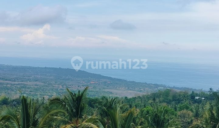 Bonus Rumah! Super Ocean View 5000m² Kubutambahan Buleleng Bali 