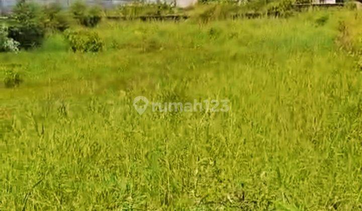 Bedugul Pinggir Danau Buyan 14 Are Siap Bangun Buleleng Bali  2
