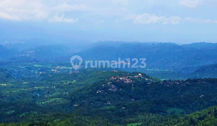 15 Are Full Ocean View Pinggir Road Aspal Hotmix Munduk Buleleng Bali