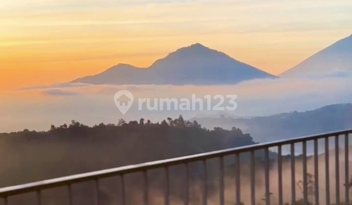 Over Kontrak Cafe & Rooms Very Populer 9 Are Penelokan Kintamani 2