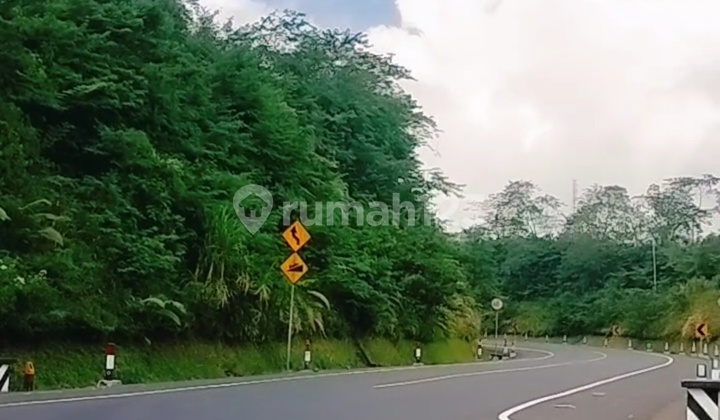 Strategic 16 Are Land by the Roadside, Singaraja to Denpasar, Buleleng, Bali. Strategic 16 Are Land by the Roadside, Singaraja to Denpasar, Buleleng, Bali.