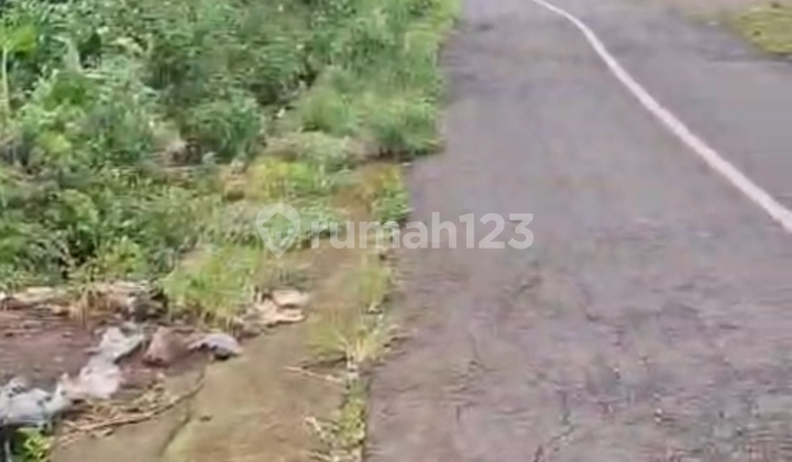 Munduk 60 Are Pinggir Aspal View Laut Kawasan Villa Buleleng Bali