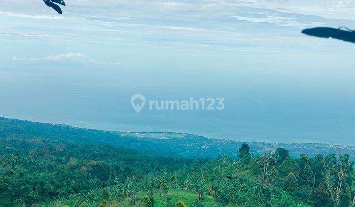 Super Ocean View! 2,5 Ha Dingin Jl Pribadi Sukasada Buleleng Bali 1