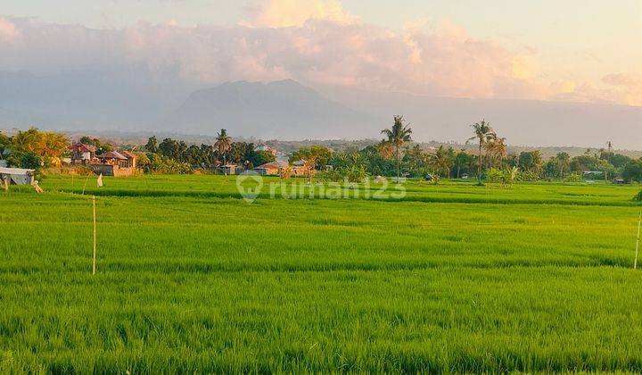 8800m² Beachfront Land View Bukit Di Bungkulan Buleleng Bali  2