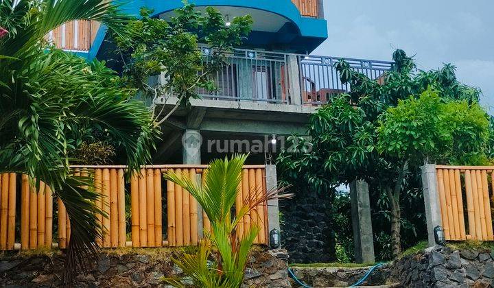 Cheap! Super Ocean View Villa 5000m² Kubutambahan Buleleng Bali 1