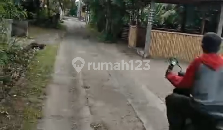 Bonus Land House 500m² Central Pemuteran Good Investment Buleleng Bali 2