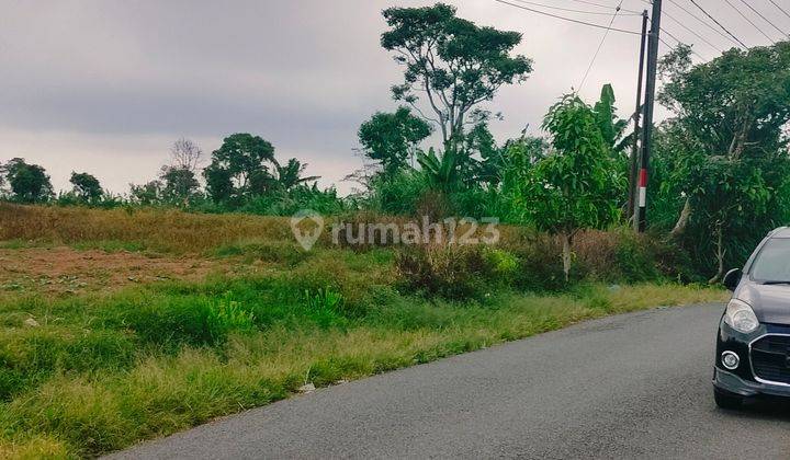 Flat 5000m² On The Side Of The Asphalt Road Wanagiri Munduk Buleleng Bali 2