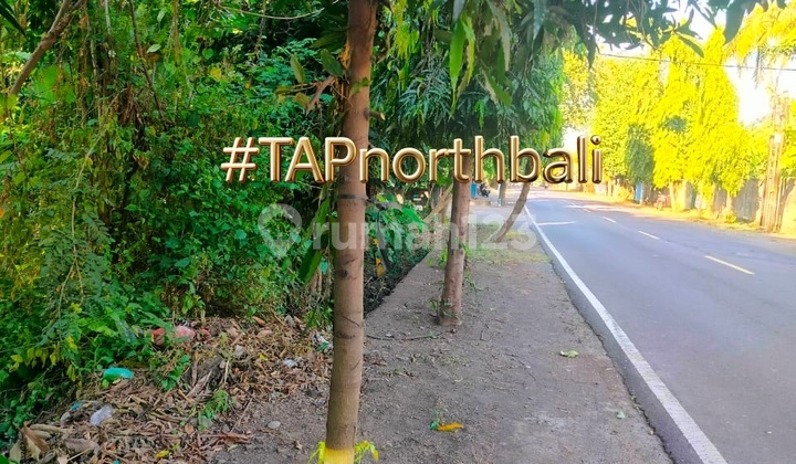Pinggir Jalan Kubutambahan 40 Are Bagus Dekat Bandara Buleleng Pinggir Jalan Kubutambahan 40 Are Bagus Dekat Bandara Buleleng